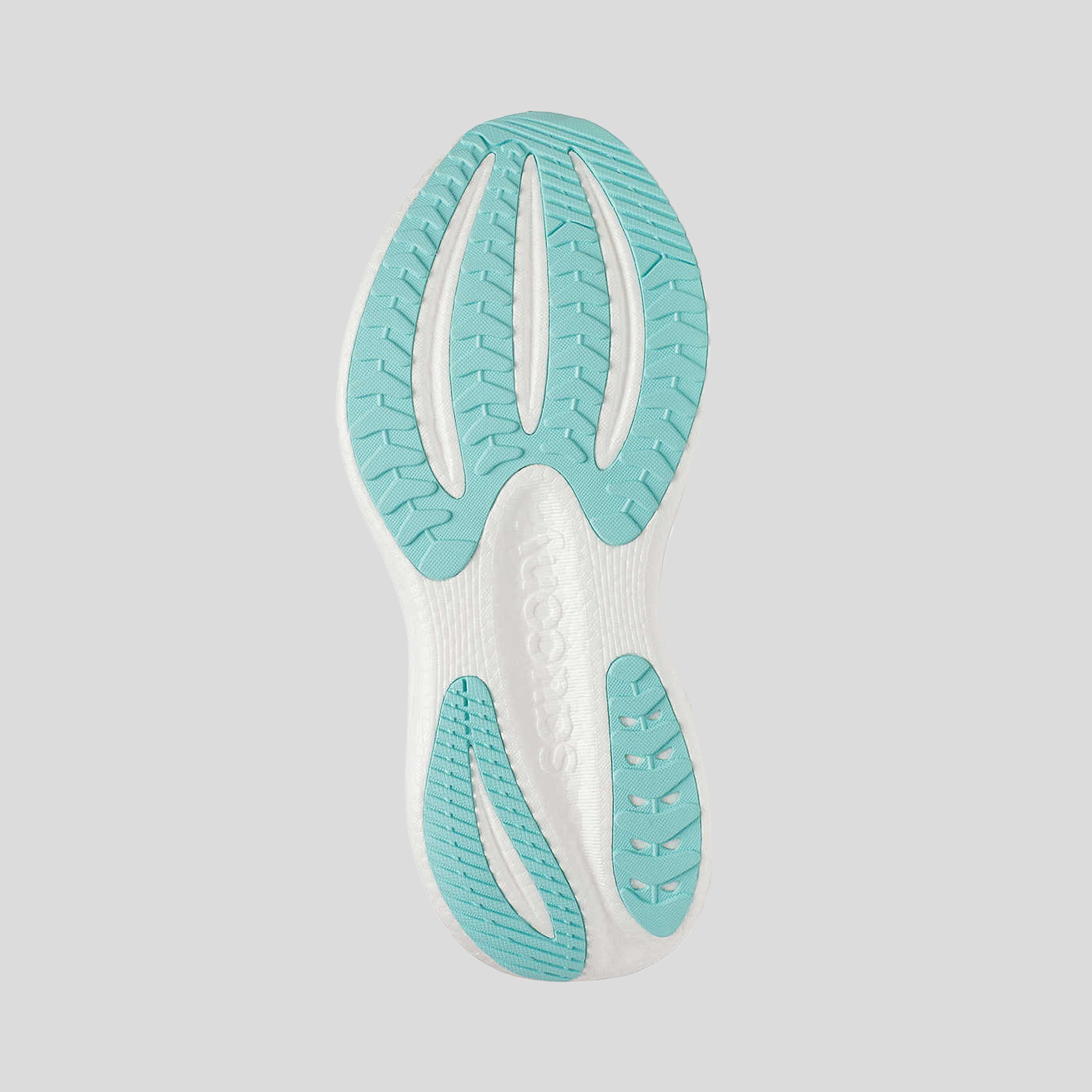 Triumph 23 | White/Navy